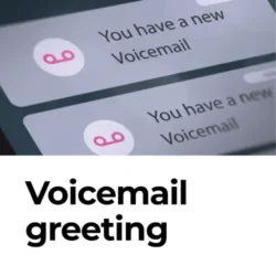 Voicemail greeting plan