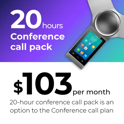 Conference Call Pack 20 Hours per month